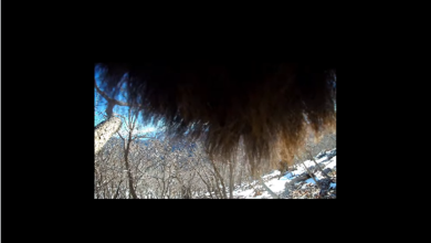 Photo of Video kakav se rijetko viđa: Zimski dan na Velebitu – iz perspektive medvjeda!
