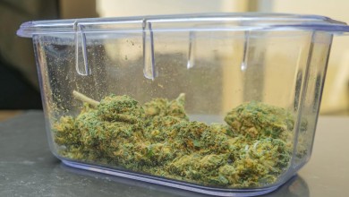 Photo of Policija u Korenici zaustavila vozača s marihuanom