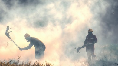 Photo of Vatrogasci u Brinju gasili požar trave i niskog raslinja
