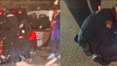 Photo of Zurovec žestoko po Stanivukoviću: Tražio je Srpsku Krajinu, našao je hrvatsku policiju