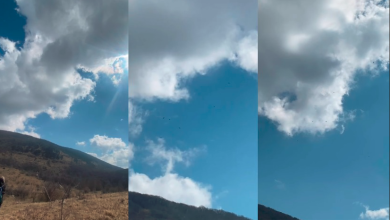 Photo of Rijedak prizor u našoj županiji: Čak 11 bjeloglavih supova snimljeno kraj Senja