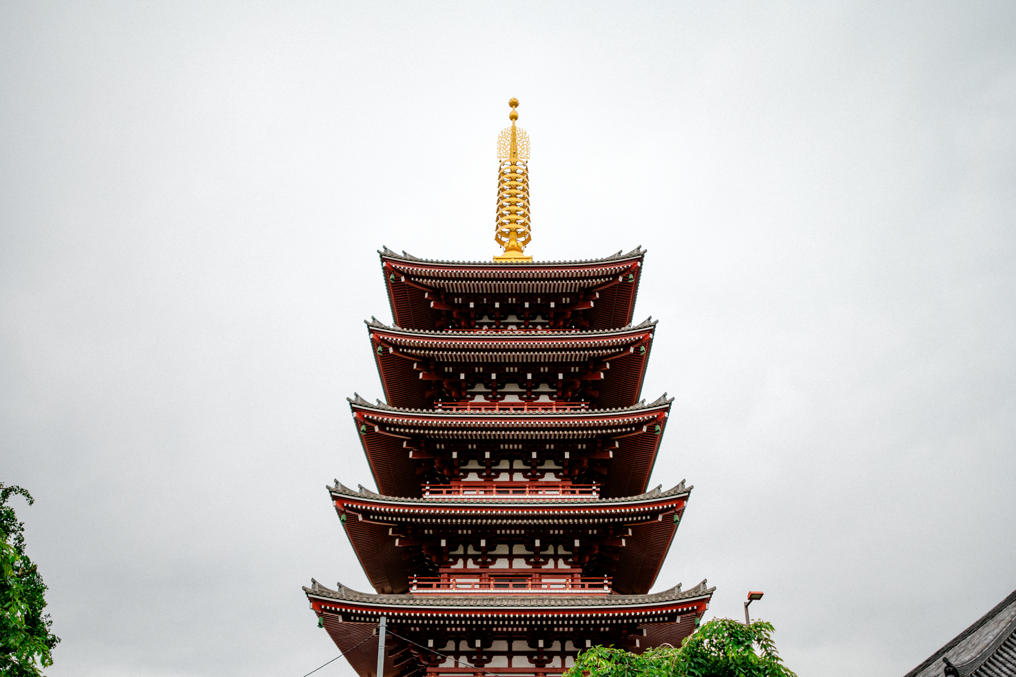 Z5D_0477