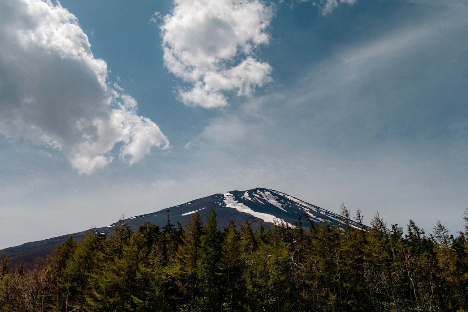 Z5D_0923