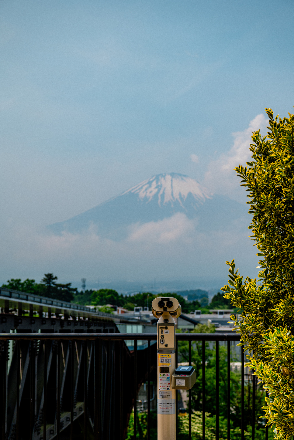 Z5D_0982