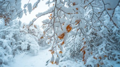 Photo of Nacionalni park Plitvička jezera zatvoren za posjetitelje