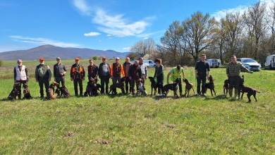 Photo of Vrhunski lovački psi pokazali svoje sposobnosti u Otočcu