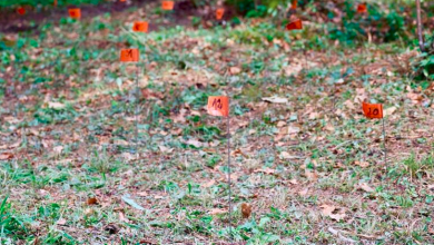 Photo of Ondje su skončali i mnogi Ličani: U Sloveniji se istražuju grobišta iz Drugog svjetskog rata