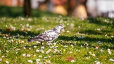 Photo of Kakvo nas vrijeme očekuje za vikend?
