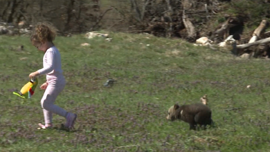Photo of VIDEO Neočekivani gost za Uskrs: Mali medo donio radost obitelji u Lici!