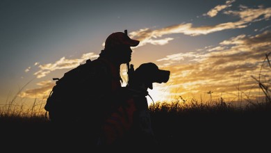 Photo of Hrvatski lovački savez poziva sve lovce: “Budimo primjer”