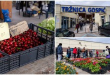 Photo of Provjerili smo – pogledajte koliko koštaju trešnje na gospićkoj placi