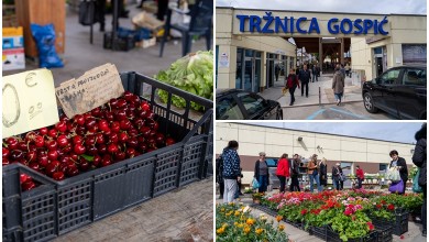 Photo of Provjerili smo – pogledajte koliko koštaju trešnje na gospićkoj placi
