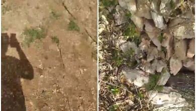 Photo of VIDEO Pogledajte na što je naletio Zvonimir u Novalji: “Nije bilo ugodno, rekli su da se rijetko viđa”